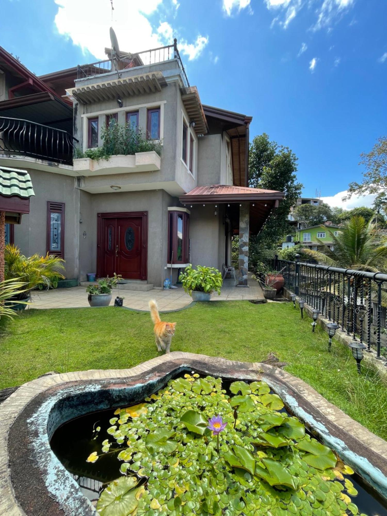 Dandelion Guest House Kandy Eksteriør billede