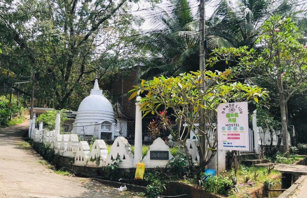 Dandelion Guest House Kandy Eksteriør billede